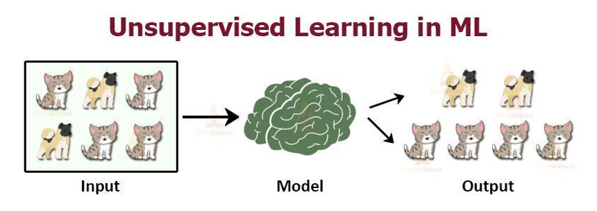 unsupervised-learning in machine learning